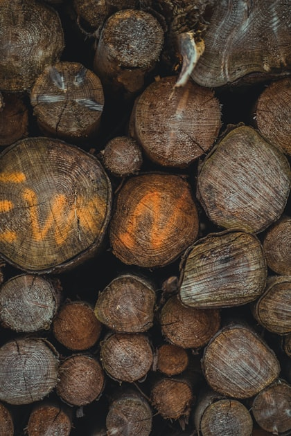 The Beauty of Artisan Woodwork